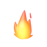 tanews